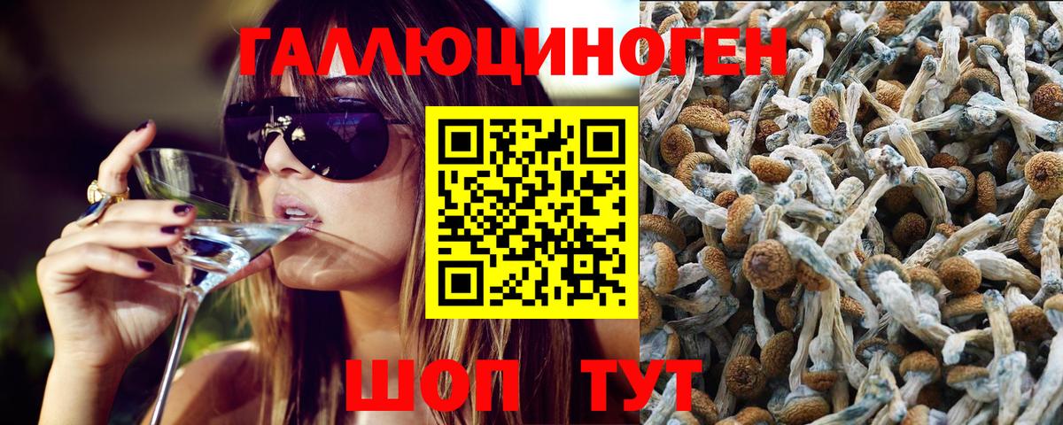 Псилоцибиновые грибы MAGIC MUSHROOMS  Псилоцибиновые грибы GOLDEN TEACHER  Сургут  Вход с VPN 